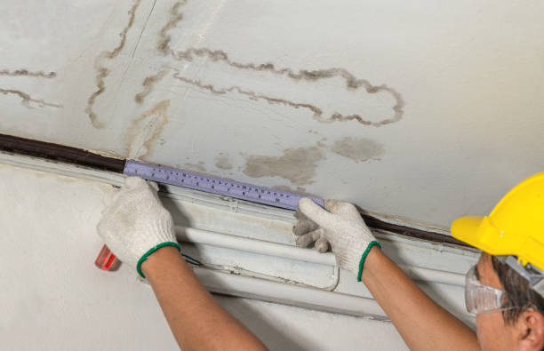 Reliable Flood Damage Cleanup contractor in Arlington, NY by Hirex Water Damage